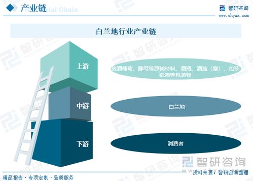 2023年中國白蘭地行業全景速覽 中高端市場被國外知名品牌占據
